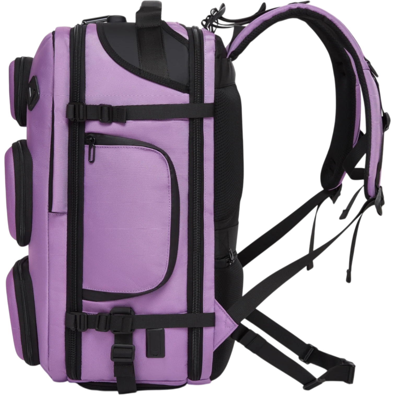 The Backpack Islanders Savvy BLUSH - Image 11